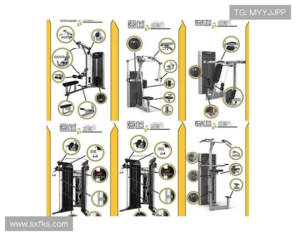 青岛健身器材专卖店的选择与购买指南