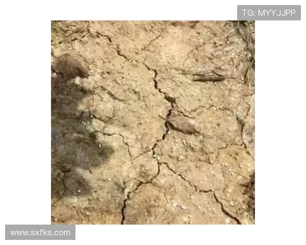 高效棒球训练的时间管理技巧