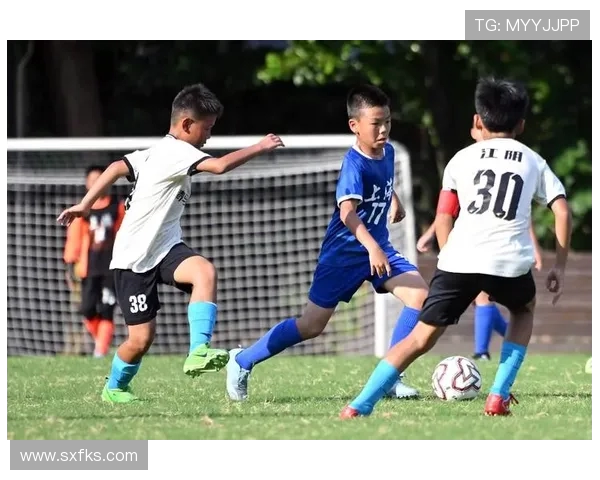 长三角德比升级 上海CBA与足球竞争格局的演变与未来发展