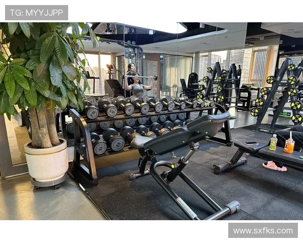 预算有限也能练出好身材：高性价比入门健身器材推荐