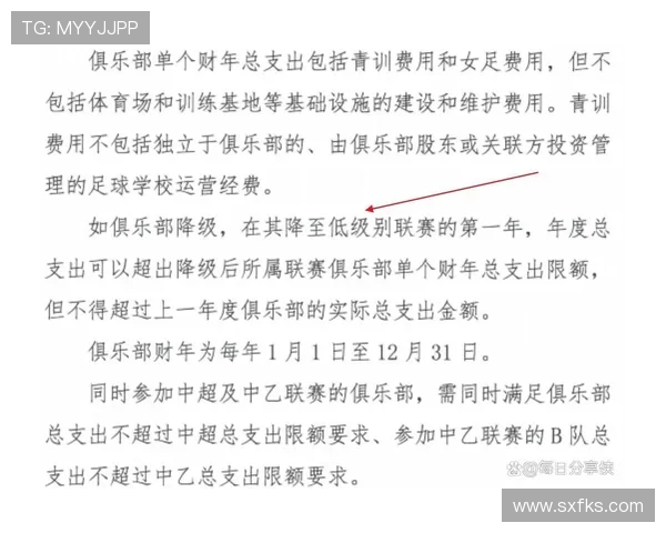 中超联赛金元风暴：中超金元足球时代的商业化与影响分析