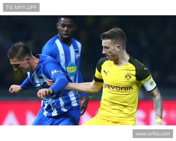 台湾地区对德甲球队的名称译法及差异解析