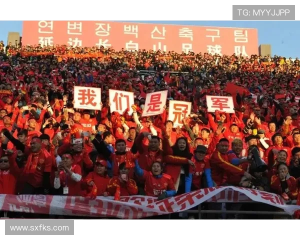 延边足球队2017年中超赛程及赛季赛事亮点