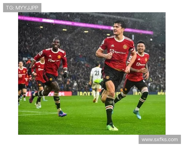 曼联队最新英超球员名单及战术角色分布