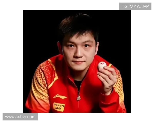 樊振东逆袭夺冠展现世界乒坛霸主风采 WTT世界杯总决赛精彩回顾