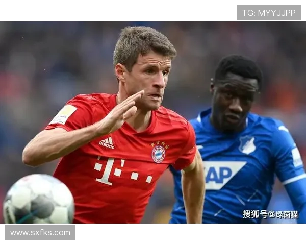 铁血绿茵争锋之路：深度解析2013年德甲五强争霸背后的战术与策略